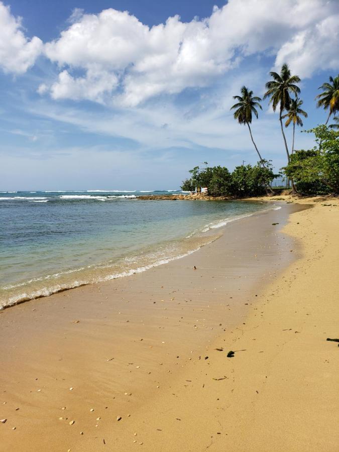 Beach Villas Dorado Puerto Rico エクステリア 写真